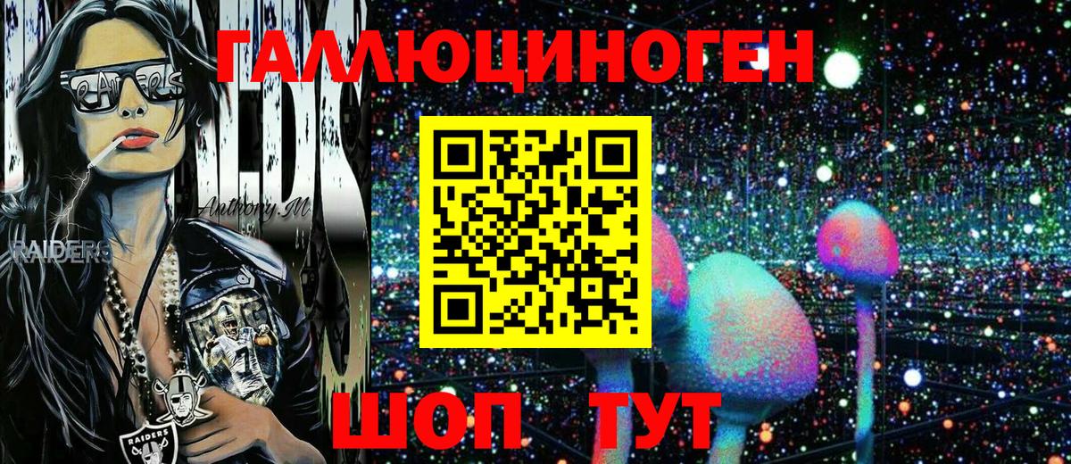 Псилоцибиновые грибы Psilocybine cubensis Ковров